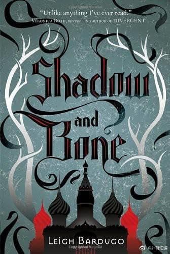 Shadow and Bone – Leigh Bardugo