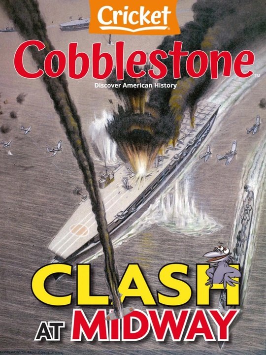 Cobblestone插图