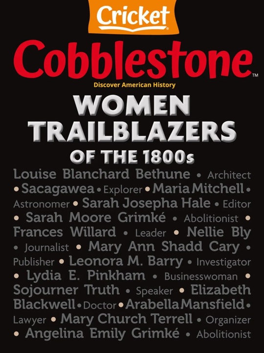Cobblestone插图