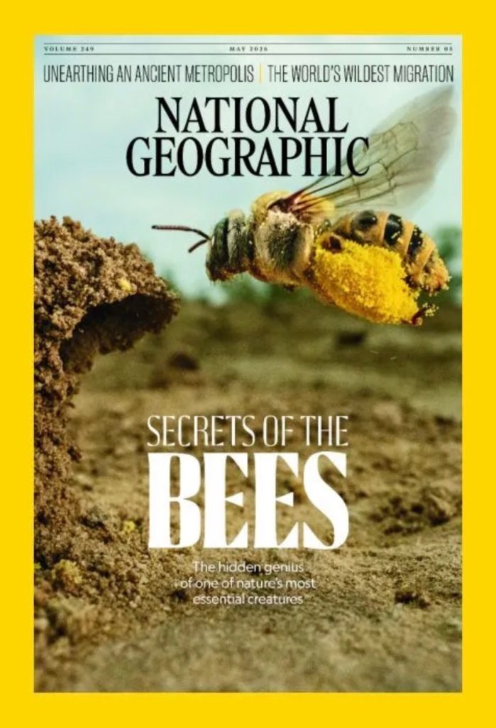 National Geographic插图